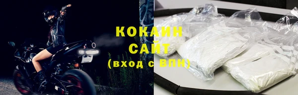 винт Абаза