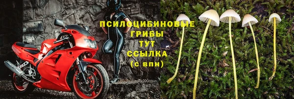a pvp Абдулино