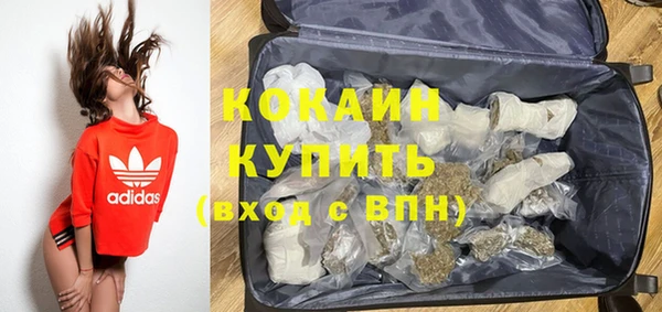 винт Абаза