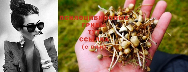 a pvp Абдулино