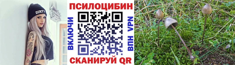 цены наркотик  Советский  Галлюциногенные грибы мухоморы 